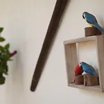 بيت ضيافة Quinta Do Rio Country
