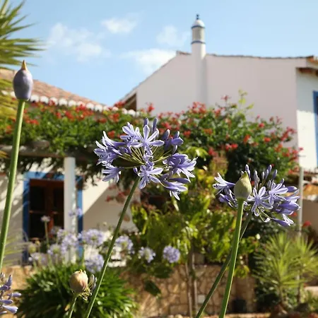 Гостевой дом Quinta Do Rio Country *